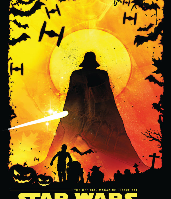 STAR WARS INSIDER #234 CVR B DIRECT MARKET EDITION VAR STAR WARS INSIDER #234 CVR B DIRECT MARKET EDITION VAR