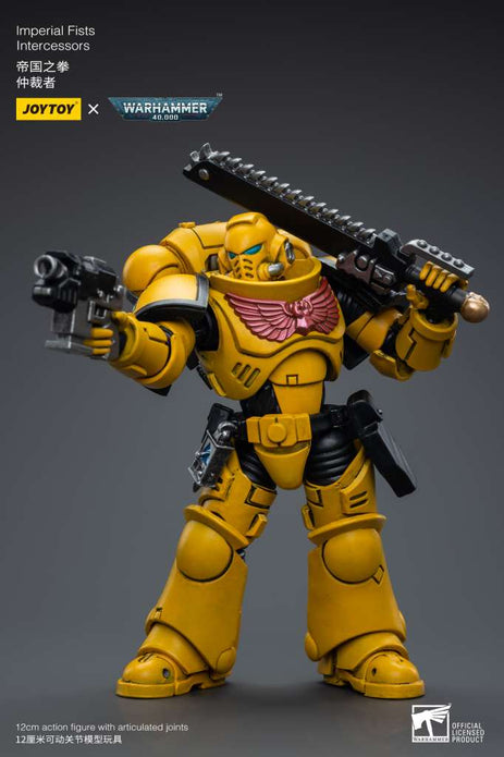 Wh40k Imperial Fists Intercessors