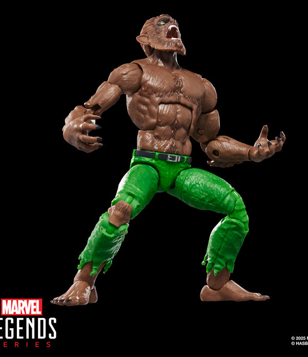 MARVEL LEGENDS SERIES - WEREWOLF BY NIGHT - ACTION FIGURE 15CM MARVEL LEGENDS SERIES - WEREWOLF BY NIGHT - ACTION FIGURE 15CM
