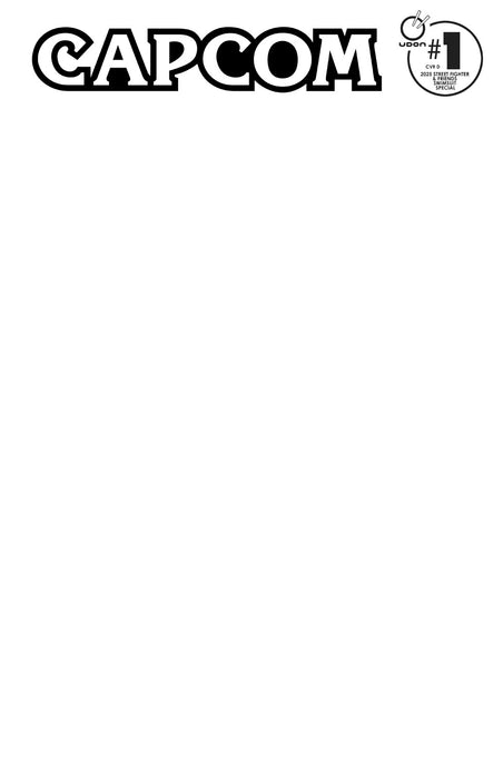 SCADENZA PREORDINE (AAAA/MM/GG): STREET FIGHTER & FRIENDS SWIMSUIT SPECIAL #1 (ONE SHOT) CVR D BLANK SKETCH VAR