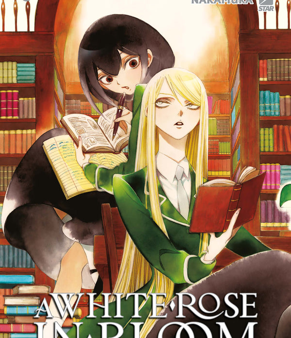 A WHITE ROSE IN BLOOM 2