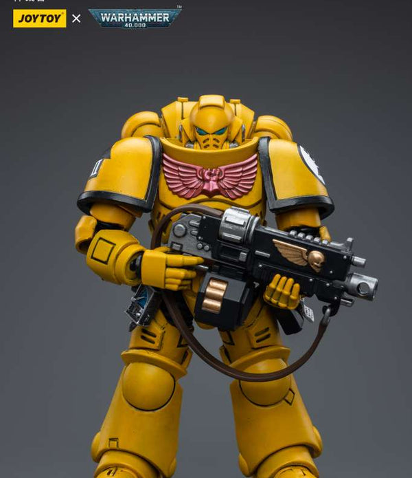 Wh40k Imperial Fists Intercessors