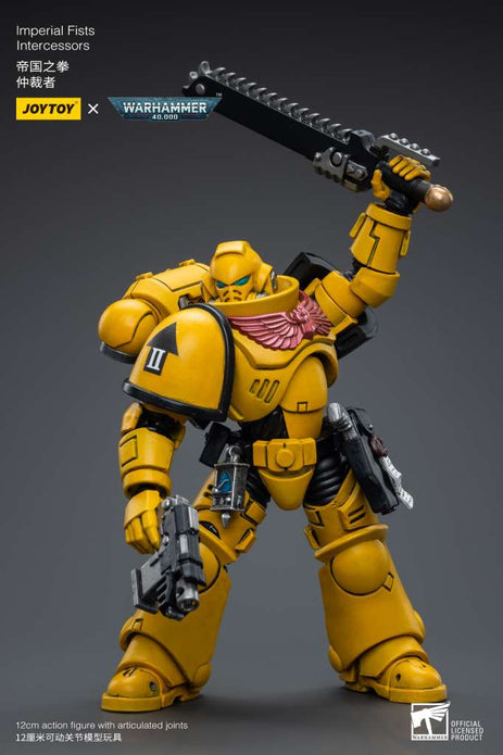 Wh40k Imperial Fists Intercessors