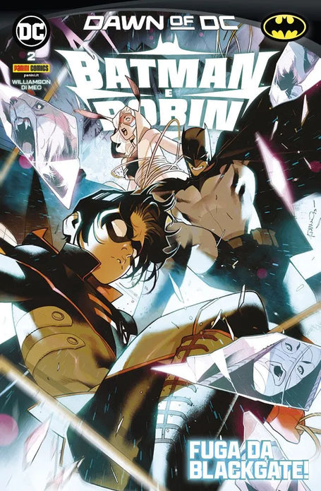 BATMAN E ROBIN 2