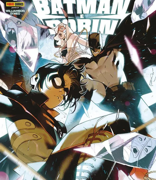 BATMAN E ROBIN 2