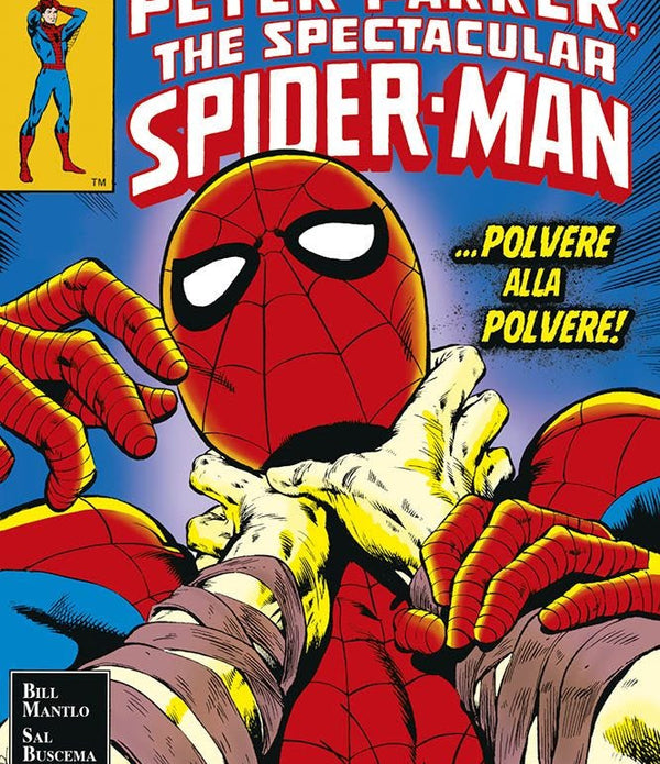 MARVEL MASTERWORKS SPECTACULAR SPIDER-MAN 2