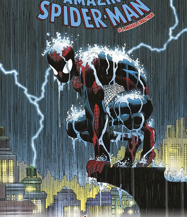 MARVEL MASTERSERIES AMAZING SPIDER-MAN DI STRACZYNSKI 2