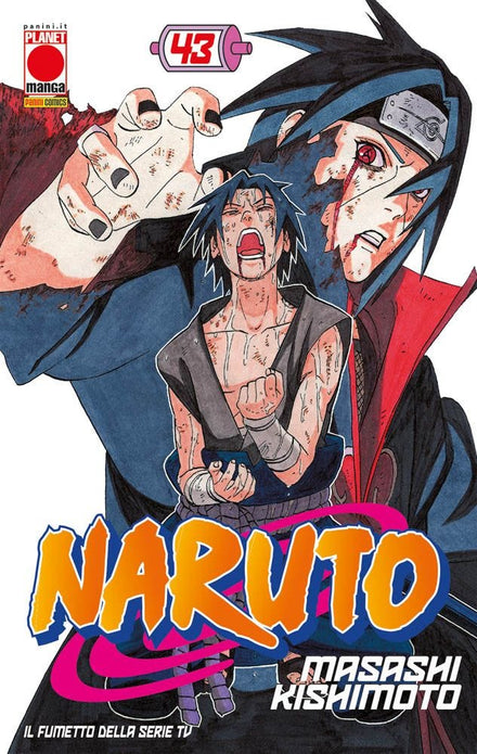 NARUTO 43