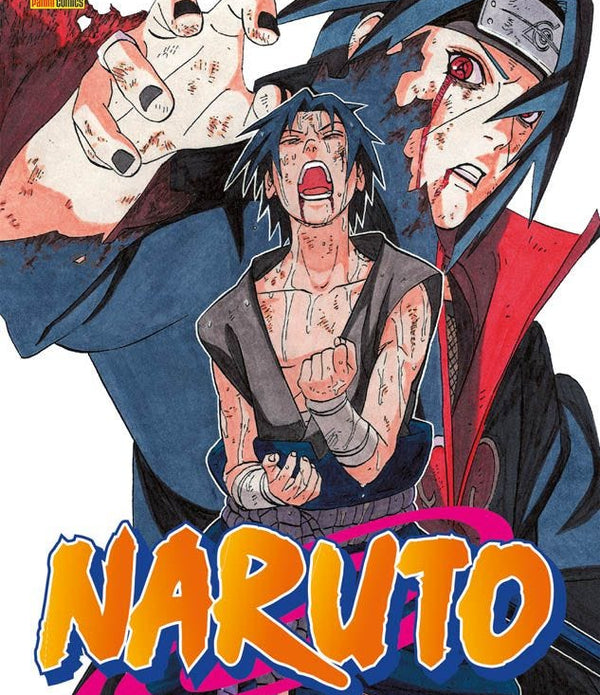NARUTO 43