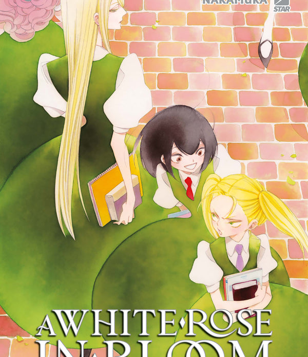 A WHITE ROSE IN BLOOM 3