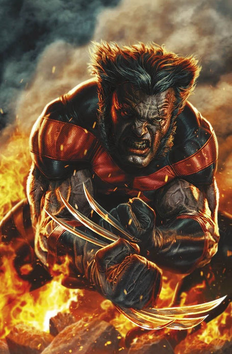 ULTIMATE WOLVERINE 2025 1 VARIANT