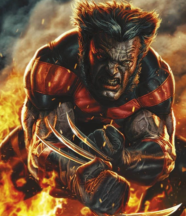ULTIMATE WOLVERINE 2025 1 VARIANT