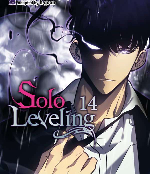 SOLO LEVELING 14